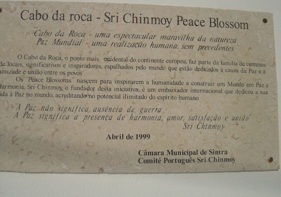 photo : 